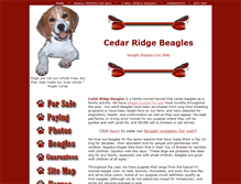 Tablet Screenshot of crbeagles.com